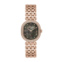 Watch Udine Brown