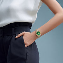 Montre Cerruti Baccio Vert